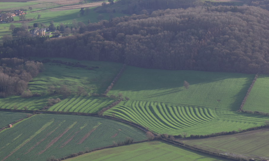 Screen Shot 2016-01-12 at 08.56.11